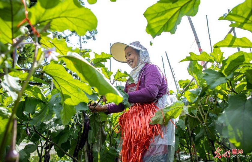 Foto: Su Yong / Guangming Picture.