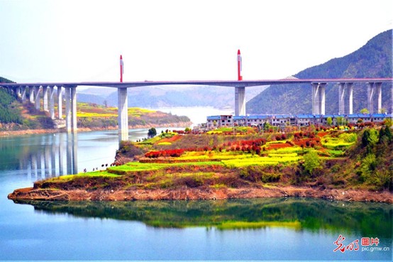 Květy a řepka se odrážejí na vodě ve vesnici Changlinggou v okrese Yunyang ve městě Shiyan v provincii Hubei. Foto: Yang Xianyou / Guangming Picture